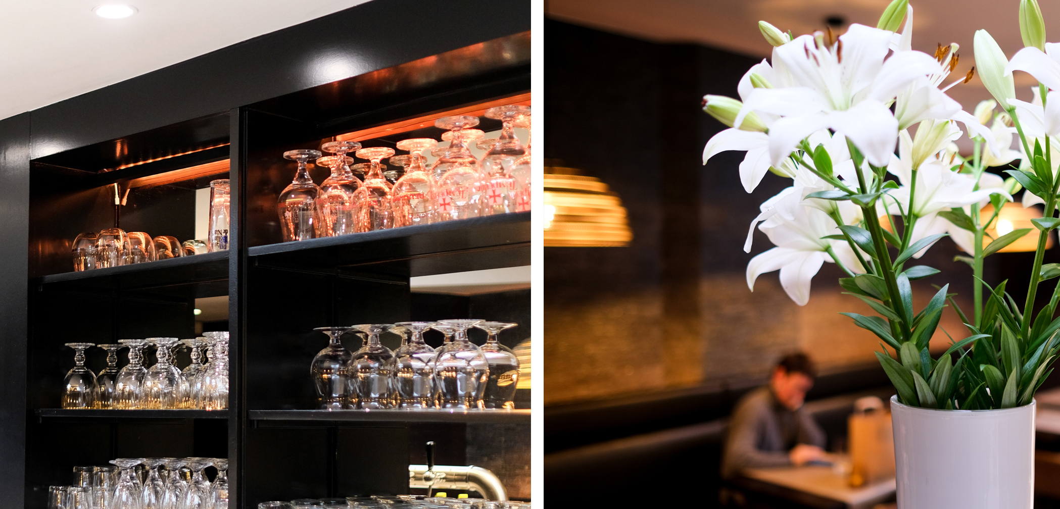 De Witten Vos De Witten Vos